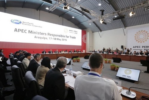 APEC trade ministers meet in Peru - ảnh 1